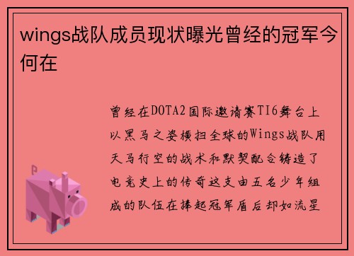 wings战队成员现状曝光曾经的冠军今何在