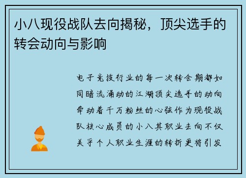 小八现役战队去向揭秘，顶尖选手的转会动向与影响